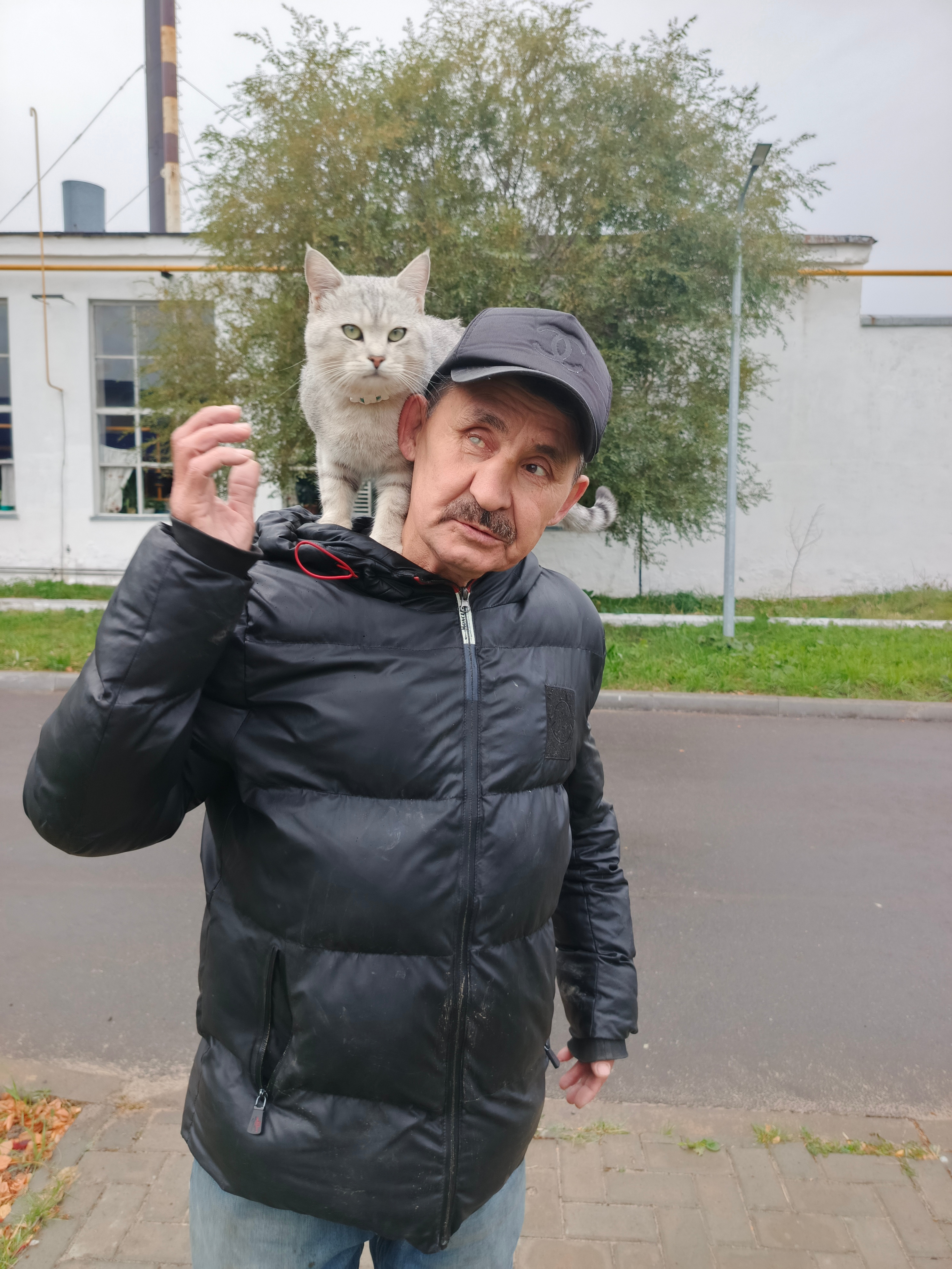 Барсик җилкәдә. И. Мөхәммәтҗанова фотосы.