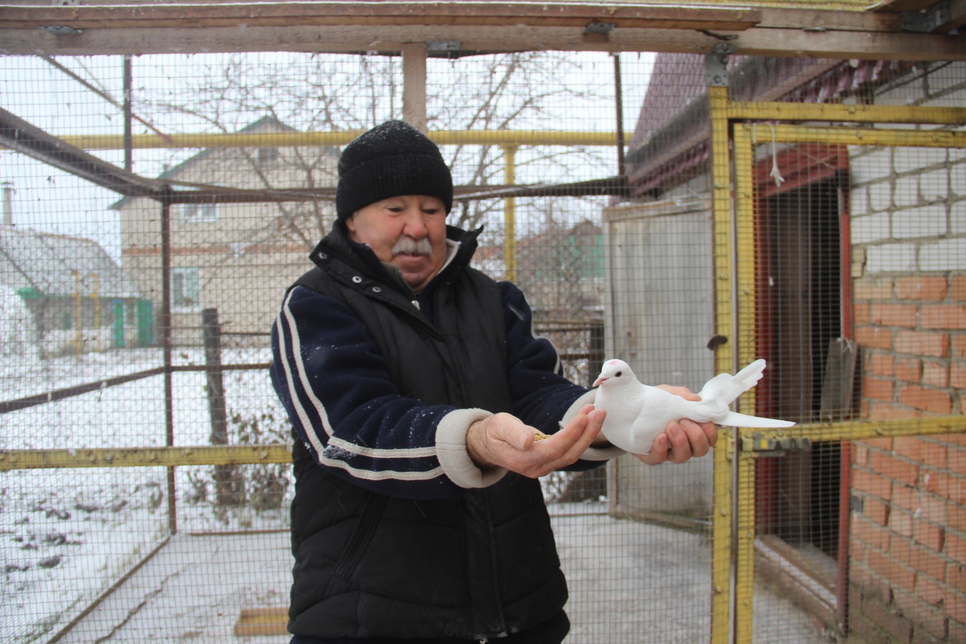 Буадан Илдус Миңнебаев төштә күгәрченнәр күрә (фоторепортаж)