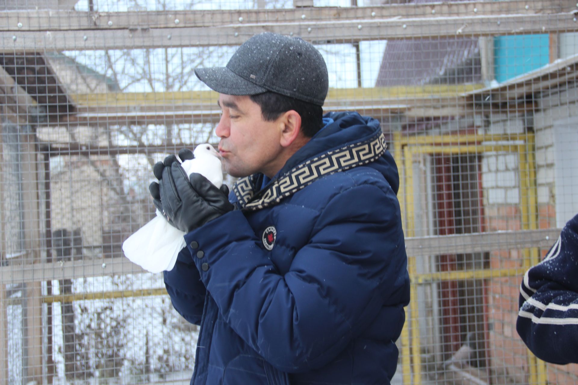 Ильдус Миннебаев из Буинска видел во сне голубей (фоторепортаж)