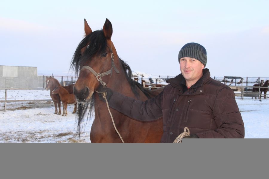 В Буинске Раиль Хисамов держит коней (+фото)