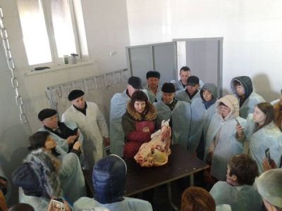 Ветеринарно-санитарные эксперты районов Заволжья в Буинске