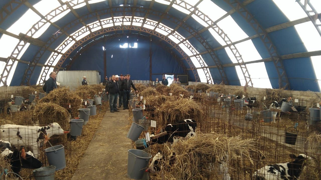 Руководство сельхоз отрасли республики сегодня высоко оценило животноводство Буинска