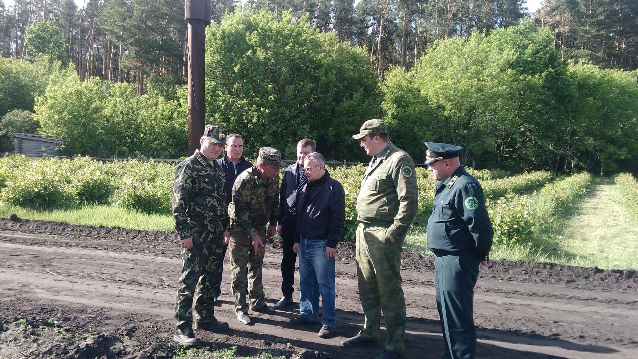Сегодня Буинск посетил министр лесного хозяйства +фото