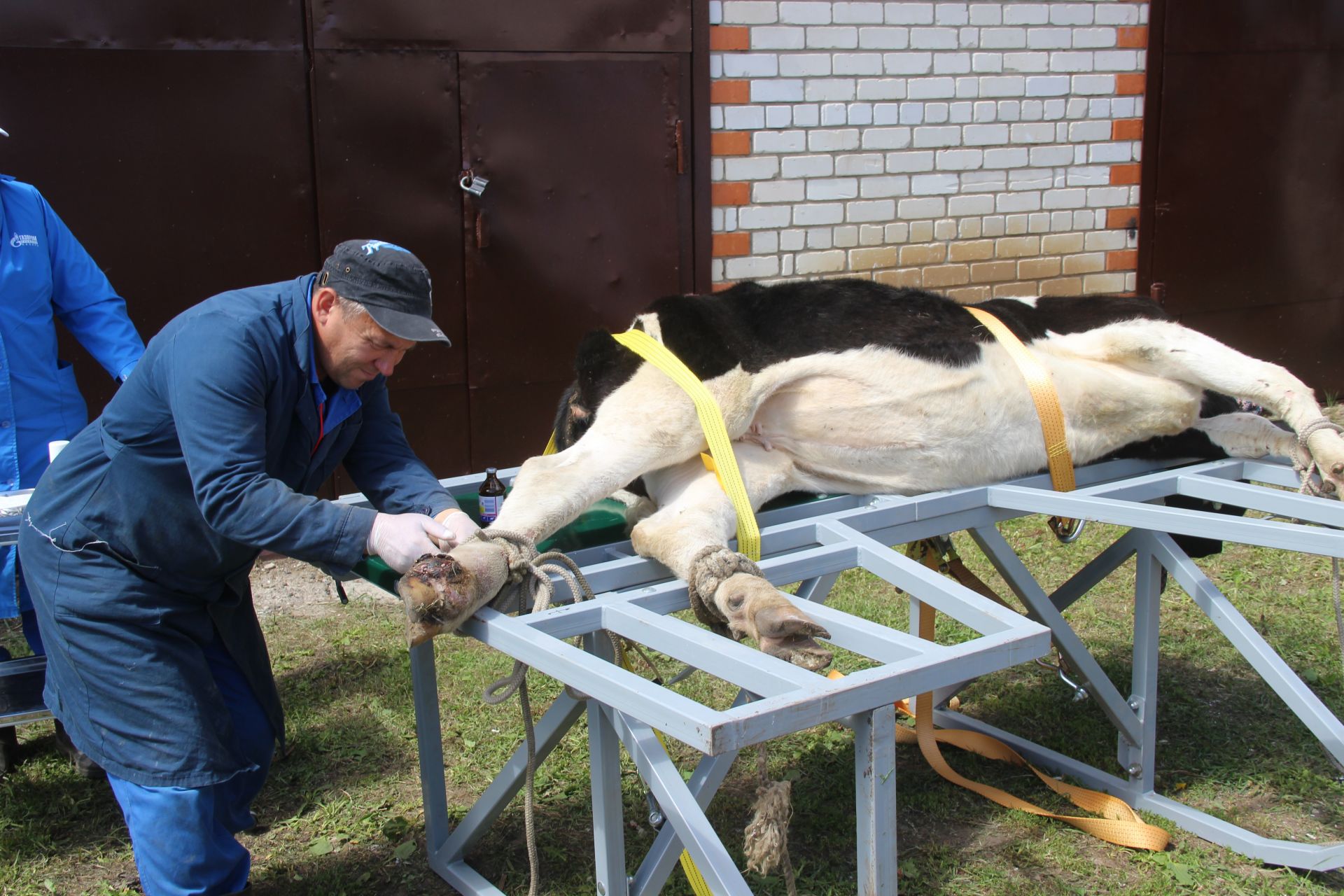 В Буинске собрались главные ветеринары районов Татарстана (фоторепортаж)