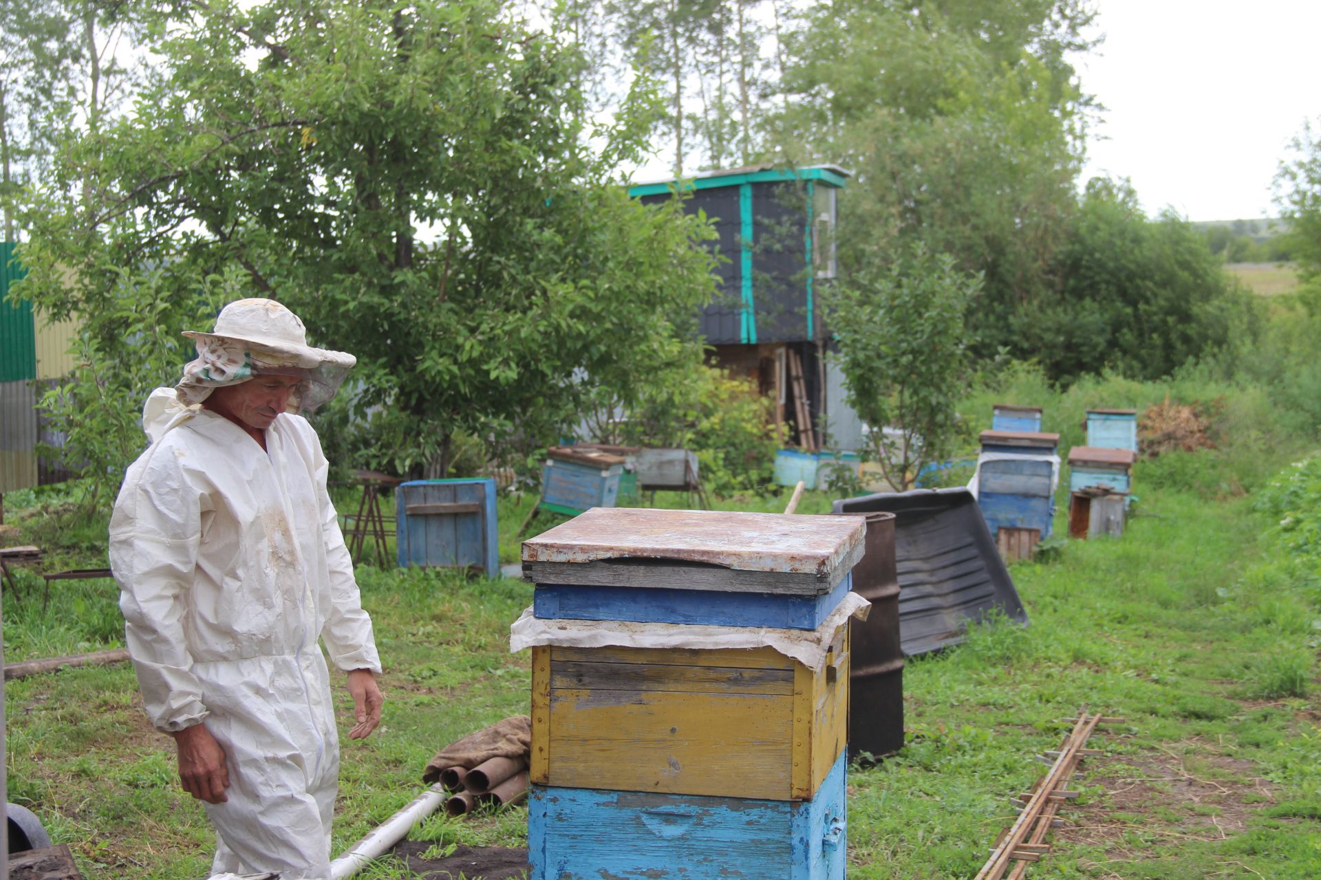 В Буинском районе в этом году с откачкой меда запаздывают (фоторепортаж)