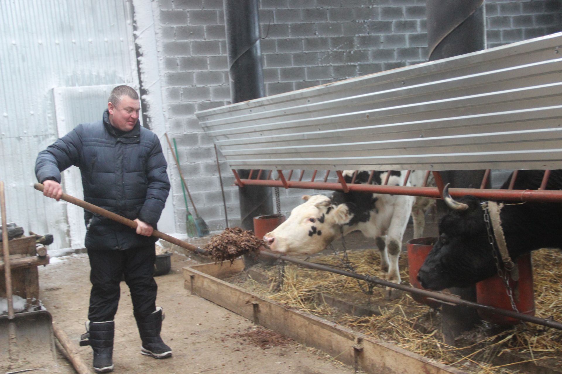 «Ассорти-ферма» в Буинском районе – какая она? (фоторепортаж)