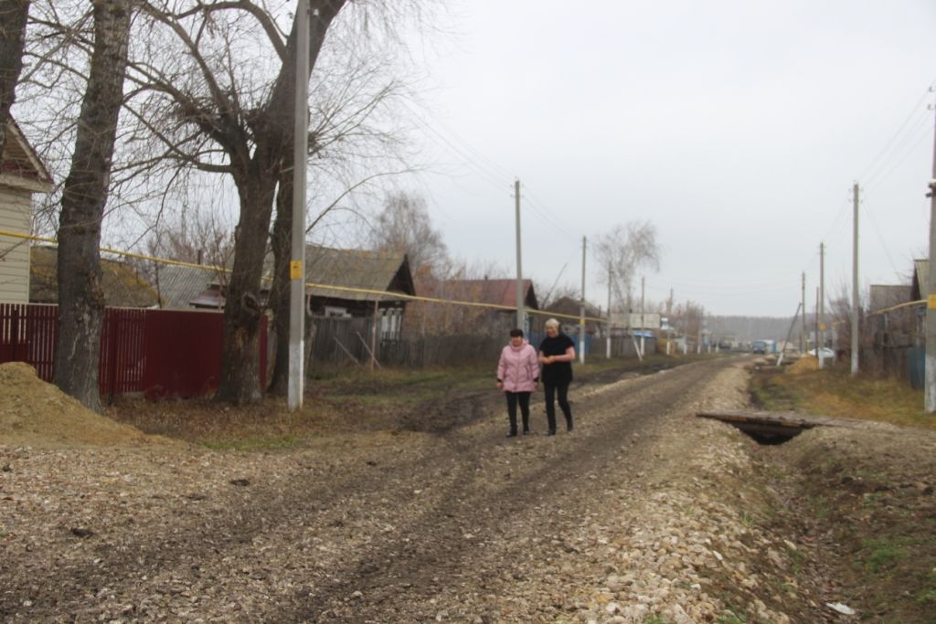 Уроженка Буинского района выделила 100 тысяч рублей на строительство дороги в родной деревне (+фото)
