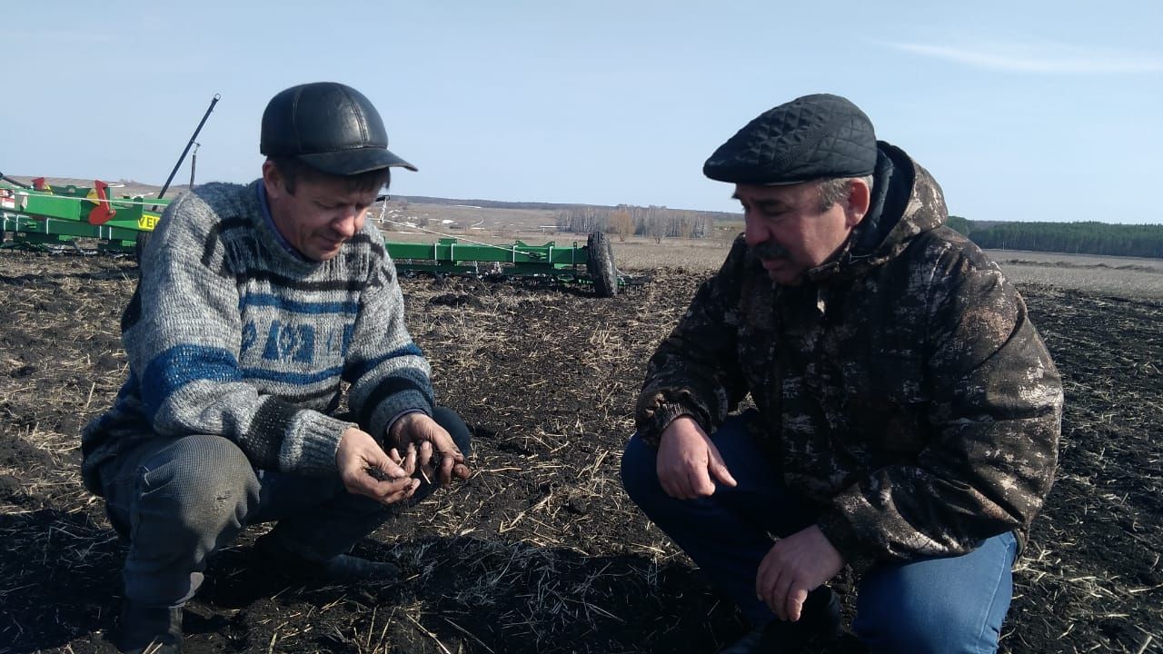 В обществе "Коммуна" Буинского района приступили к весенним полевым работам (+фото)