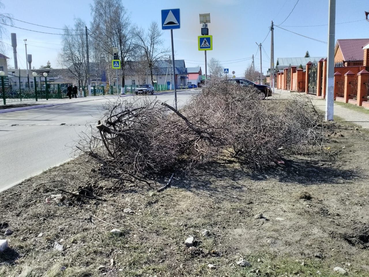 В Буинске на перекрестках убирают деревья, создающие опасность для водителей (+ фото)