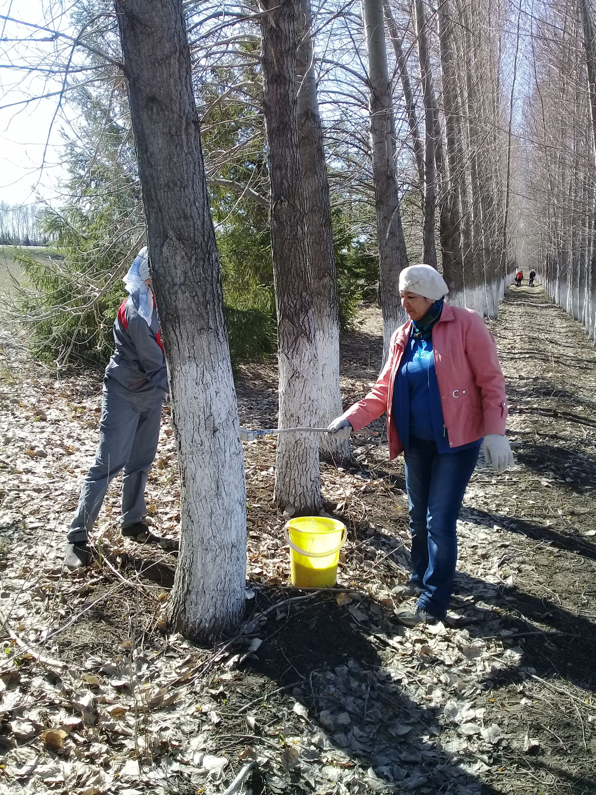 Экологи Буинска  приняли участие в очистке и побелке лесополос (+фото)
