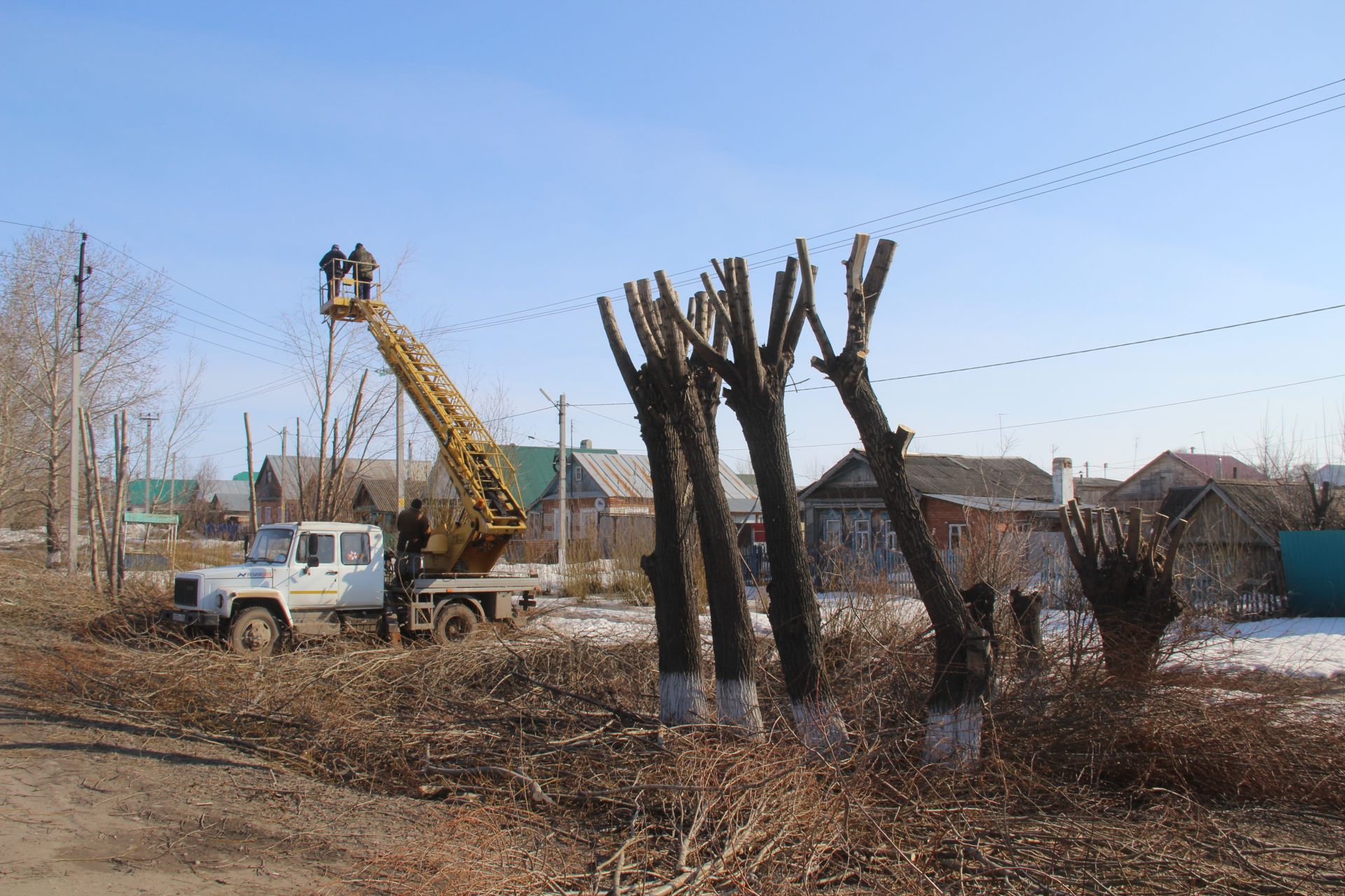 В Буинске обрезают деревья – по дизайну (+ фото)