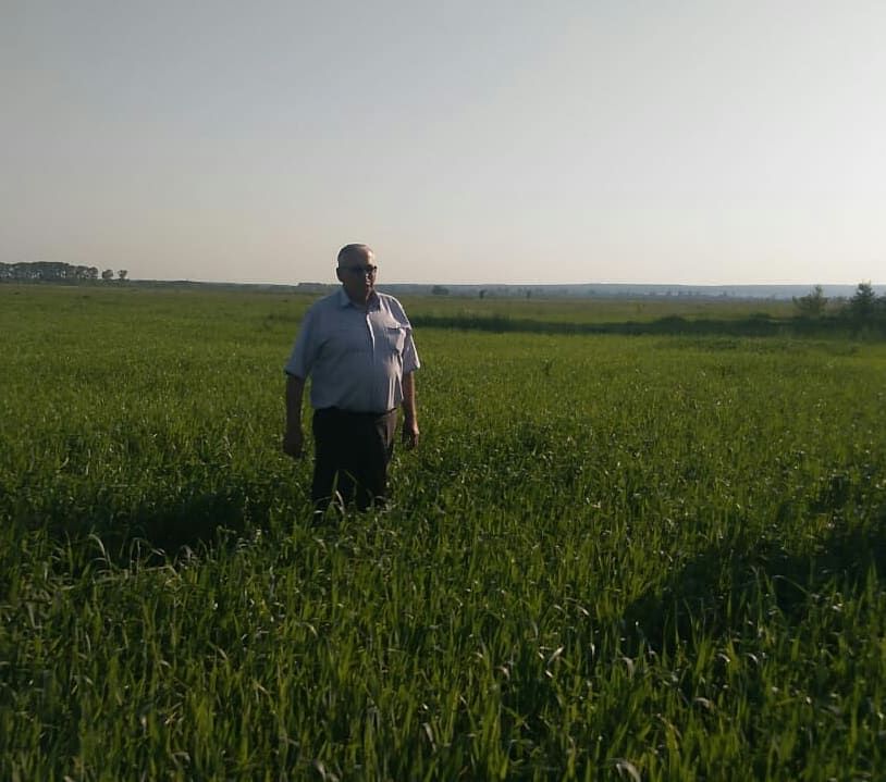 Сельхозформированиях Буинского района проходит приемка посевов (фоторепортаж)