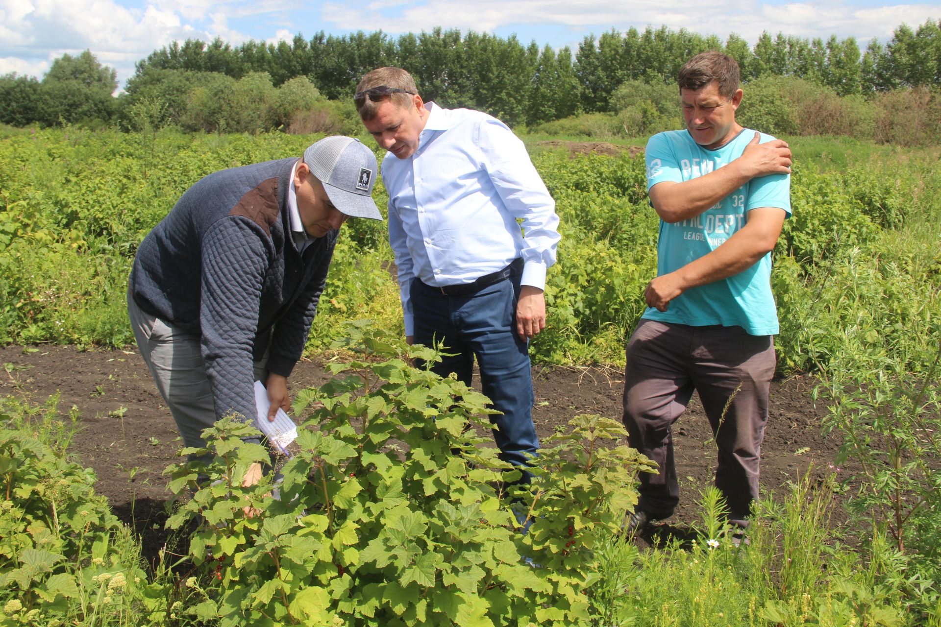 Фермерские хозяйства Новые Тинчали Буинского района надеются на хороший урожай