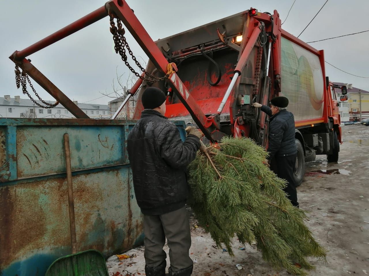 Судьба елок в Буинске: после праздника на свалку (+фото, видео)