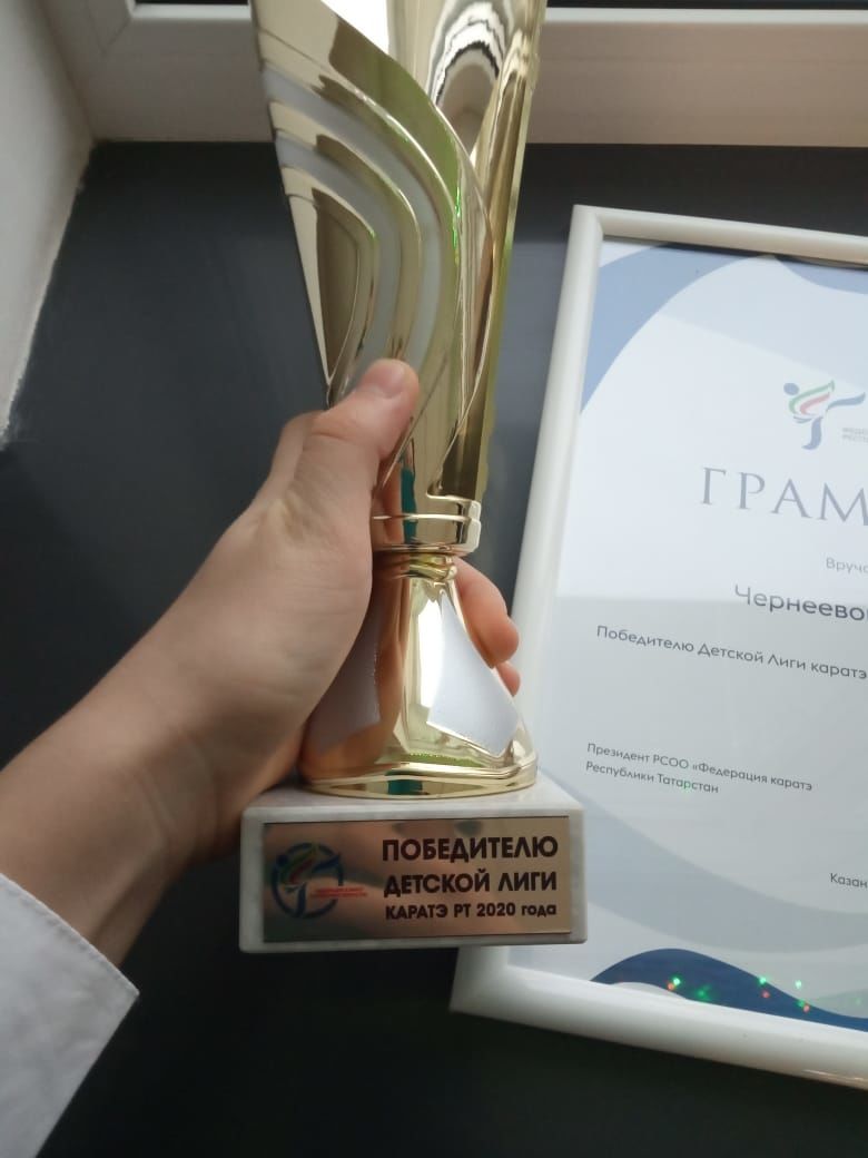 По итогам года Федерация каратэ РТ наградила тренера из Буинска и его ученицу
