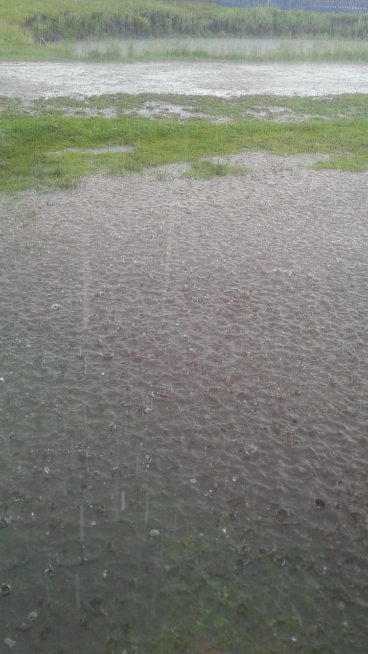 В Буинском районе в результате обильных дождей некоторые огороды остались под водой (фото, видео)