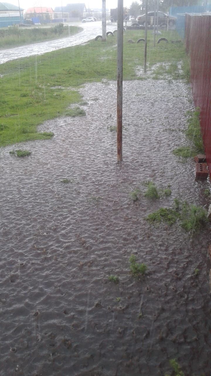 В Буинском районе в результате обильных дождей некоторые огороды остались под водой (фото, видео)
