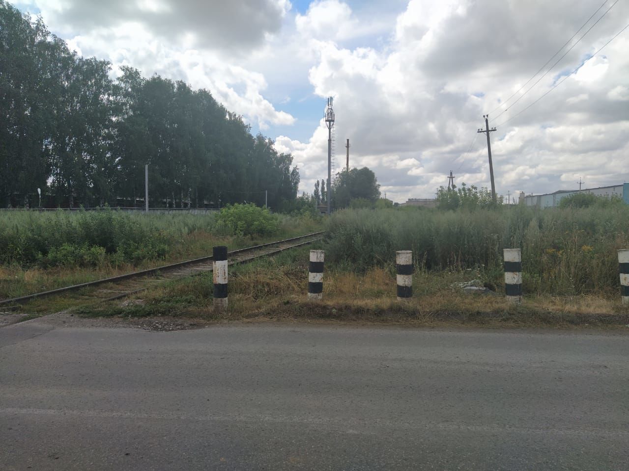 На ж/д переезде по улице Гагарина Буинска, из-за высокой травы, невозможно увидеть приближающийся паровоз (+фото)