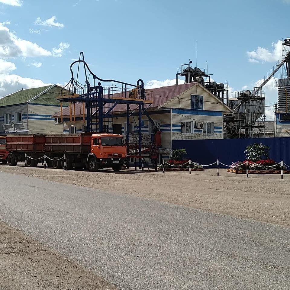 Буинский элеватор принял 33 тысячи тонн зерна (+фото)