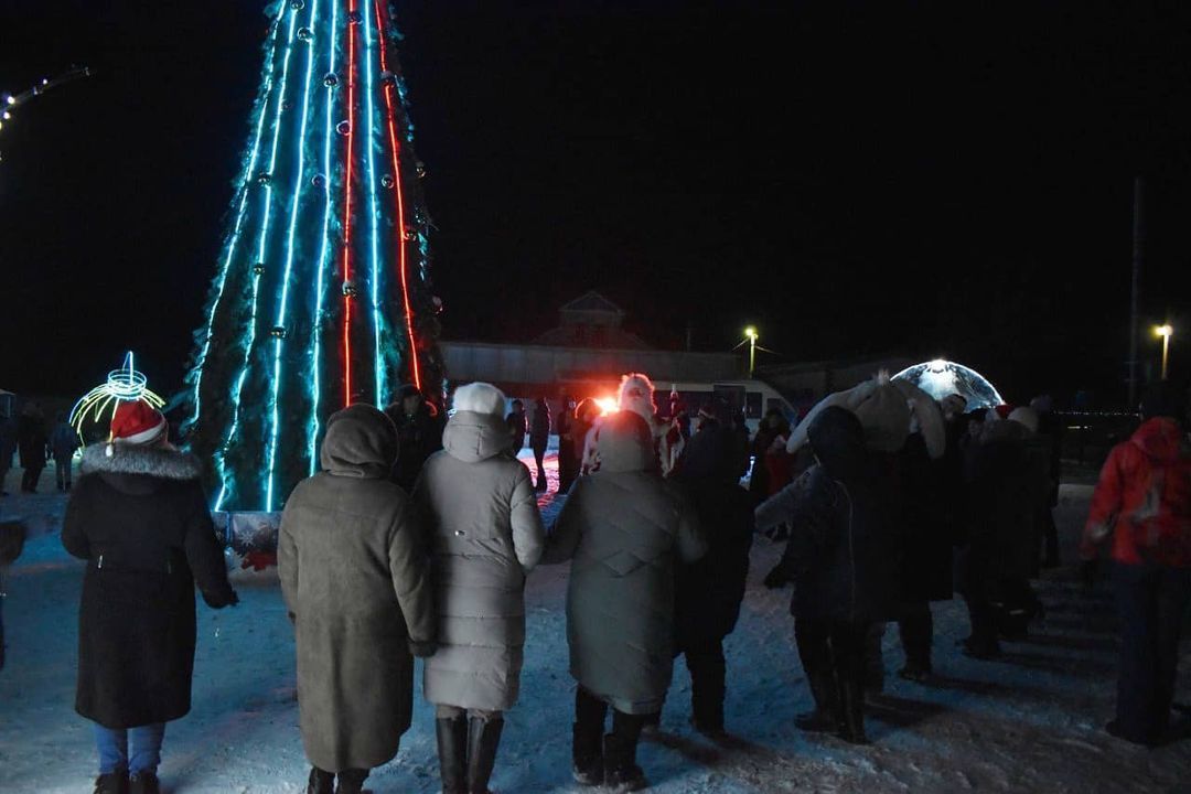 Жители и гости  деревни Вольнистан Буинского района собрались около ёлки +фото