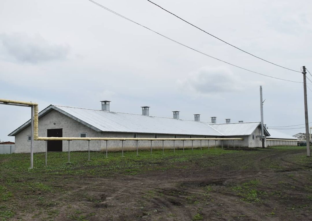 В селе Исаково Буинского района открылась птицеводческая ферма.