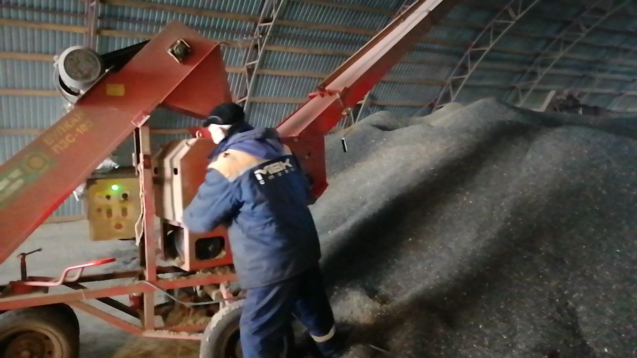 В Буинске комбайны вышли  в поле. В фермерских хозяйствах убирают подсолнух (фоторепортаж, видео)