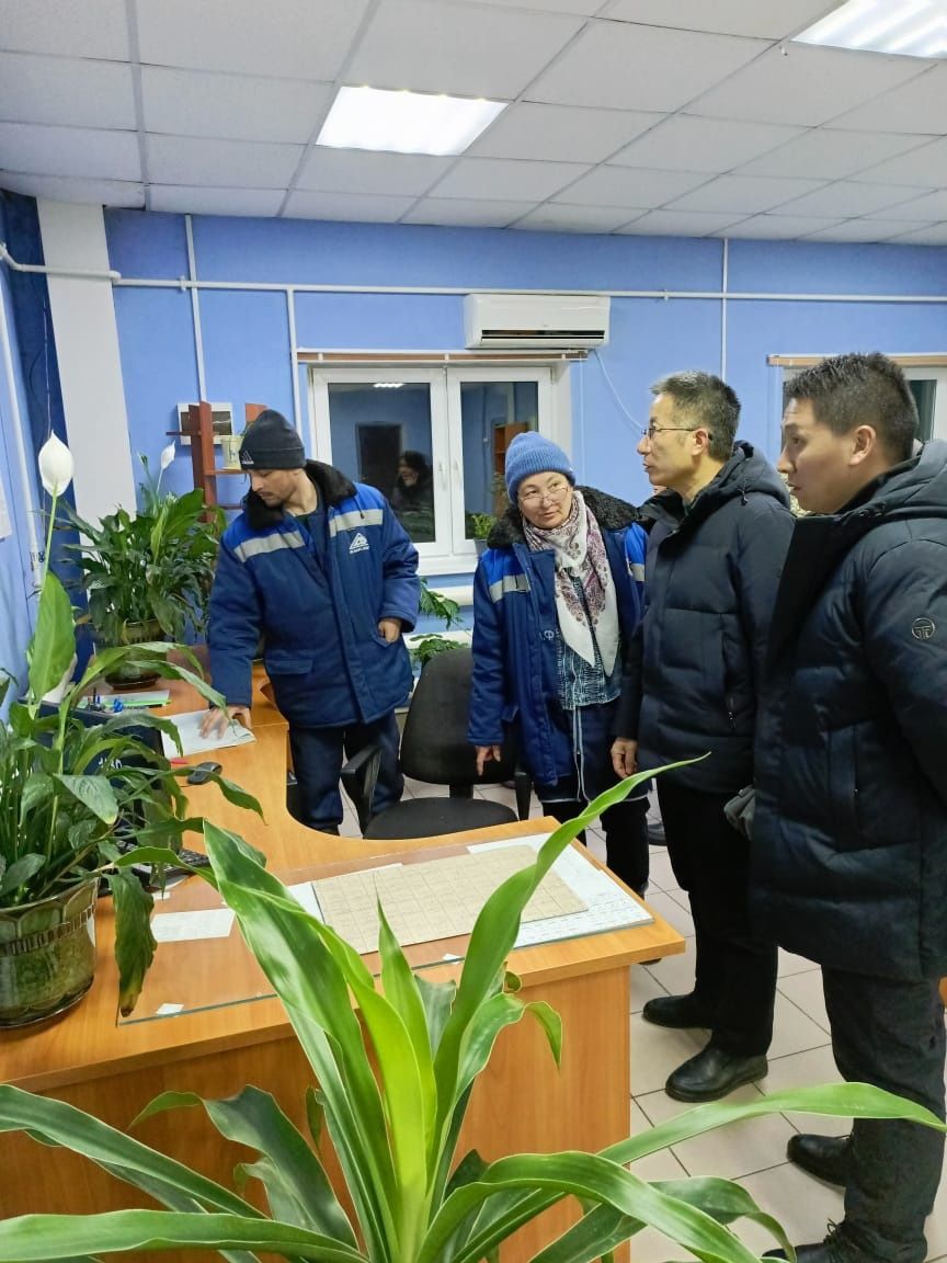Буинский район посетила делегация из Китая