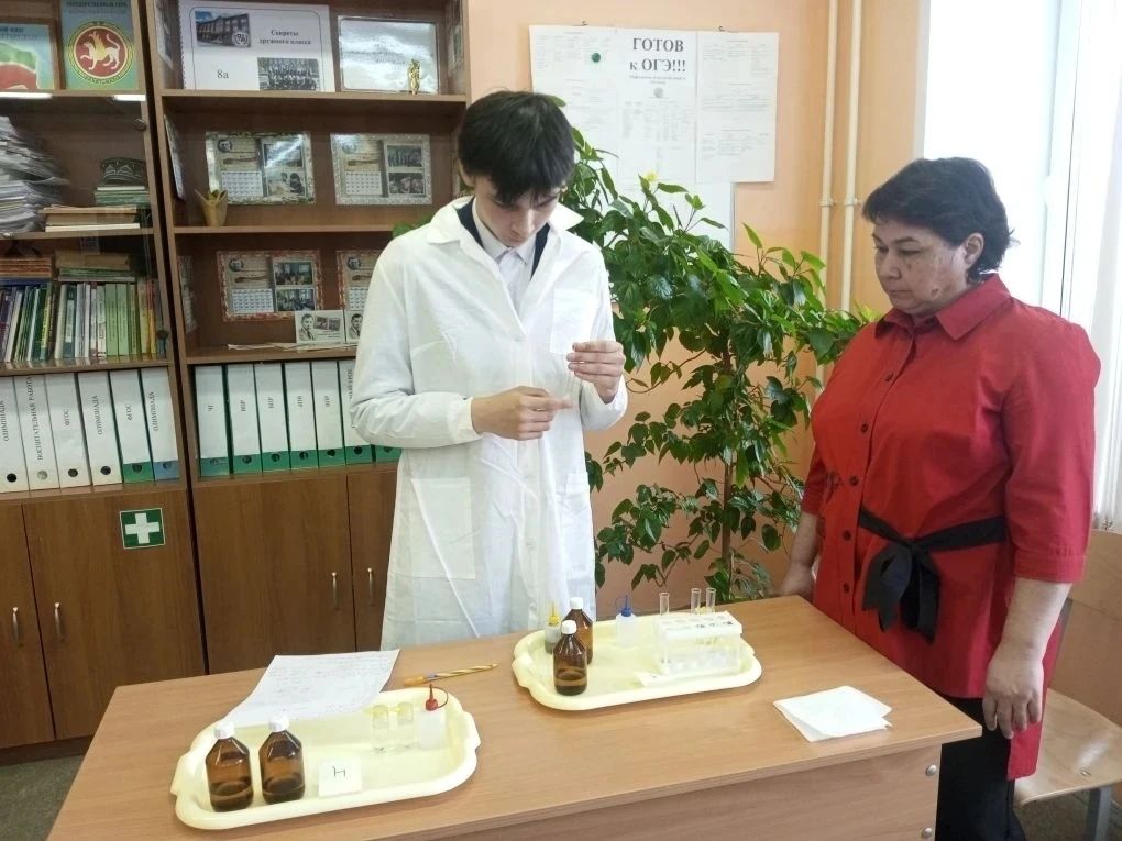 В Буинском районе прошло пробное диагностическое тестирование для выпускников 9-х классов по химии и физике