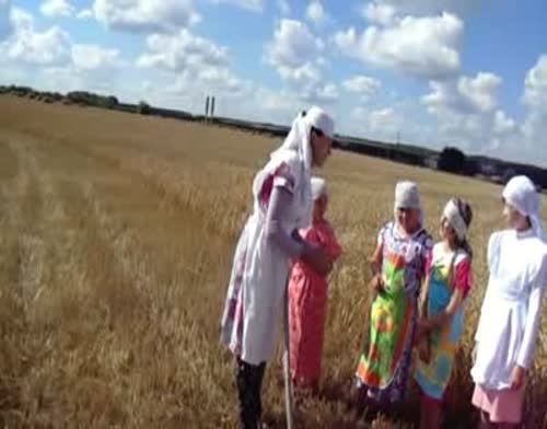 В Новых Чечкабах серпом косили хлеб (фоторепортаж + видео)
