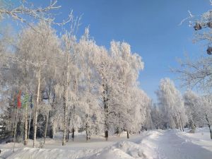 Татарстане в декабре ожидаются дефицит снега и аномальный холод