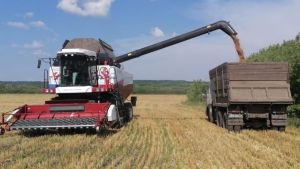 В Минсельхозе РТ оценили вклад Буинского района в хлебный каравай