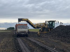 В Буинском районе уборочная страда из-за погодных условий растянулась на три месяца