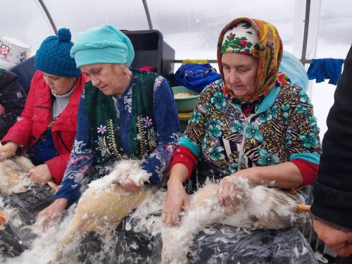 В Буинском районе провели праздник гусиного пера (ФОТО, ВИДЕО)