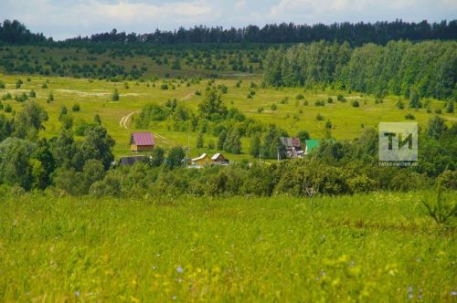 9 апреля для владельцев земельных участков пройдет горячая линия