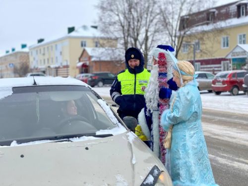 Буинских водителей поздравили Дед Мороз и Снегурочка (+фото)