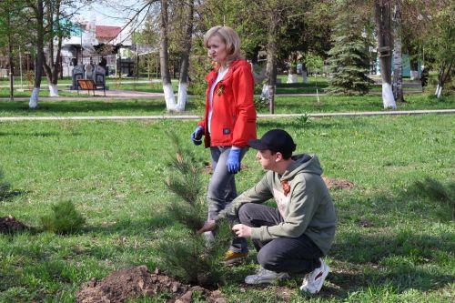 В Буинске в память о героизме участников СВО будут расти сосны