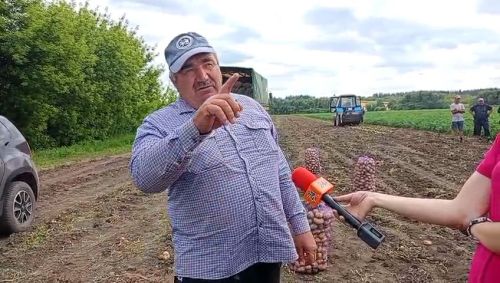 Фермер из Буинского района: «Картофель то есть, только цены на него нету».