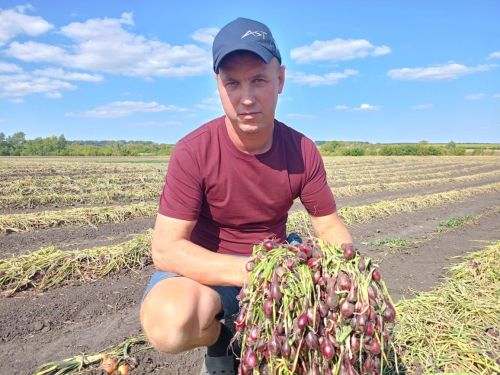 Фермер из Буинского района второй год занимается выращиванием лука на семена