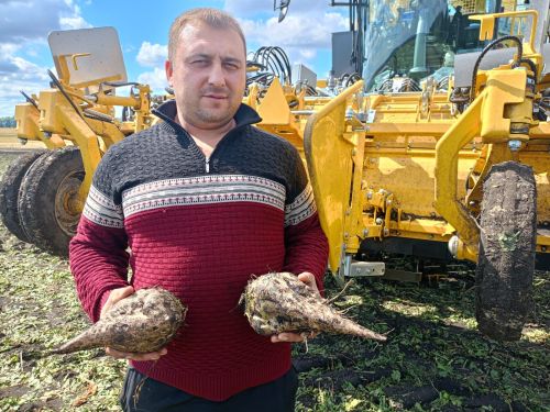 В агрофирме «Заря» сахарная свекла была посеяна на площади 3557 гектаров