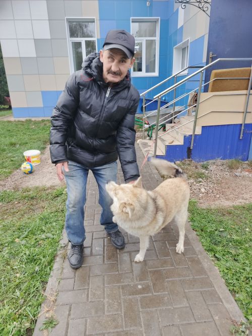 Сотрудник ГАИ Ульяновска не смог не пропустить собаку Тузика из Буинска