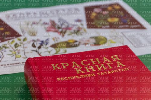 Исторический шаг в охране природы: В Татарстане завершена работа по переизданию первой Красной книги на двух языках