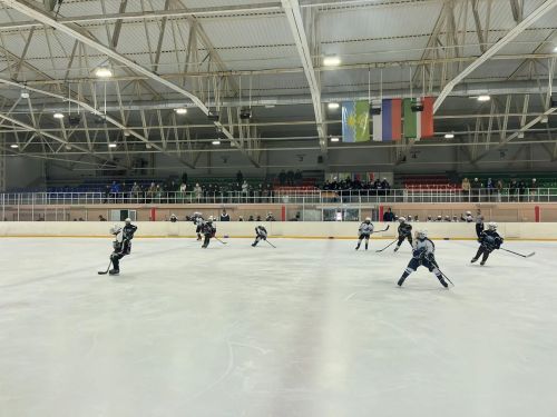 Сегодня в Буинске в финальных играх республиканского этапа Всероссийских соревнований по хоккею «Золотая шайба» четыре команды борются за призовые места и Золотую медаль