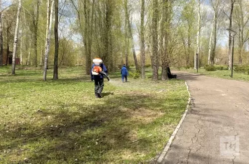 В Буинске скоро проснутся клещи. Специалисты предупреждают: их будет больше