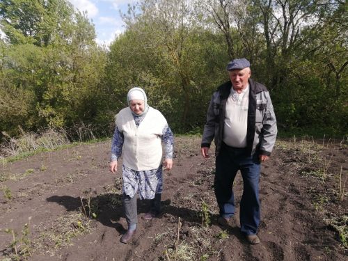 Фердинант Амануллов из Буинского района на заброшенных участках возводит ягодные сады