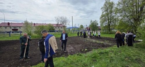 В базовых школьных лесничествах Буинского района были заложены питомники декоративных древесно-кустарниковых растений