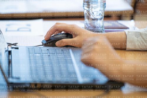 Цифровые инструменты контроля коррупционных действий в Буинском районе