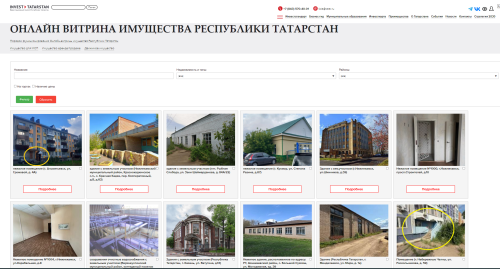 В Татарстане расширяют возможности инвестиций через «Витрину имущества»