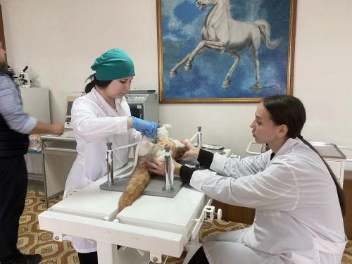 Сегодня выпускники Буинского ветеринарного техникума сдали демонстрационный экзамен по ветеринарии