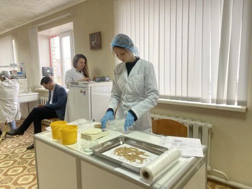 Сегодня выпускники Буинского ветеринарного техникума сдали демонстрационный экзамен по ветеринарии