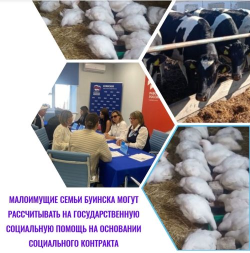 Малоимущие семьи Буинска могут рассчитывать на государственную социальную помощь на основании социального контракта
